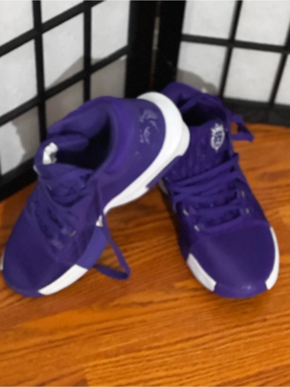 Brand New LeBron Witness 8, Basketball.shies